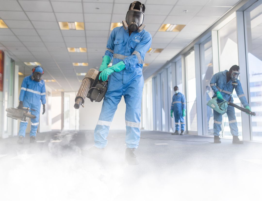 ser-fumigation ser-fumigation